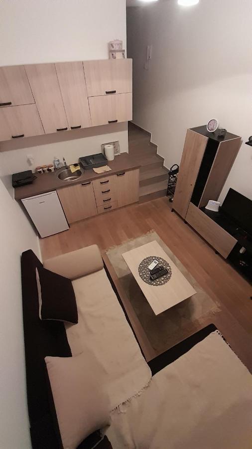 Apartman Tia Vrnjačka Banja Buitenkant foto