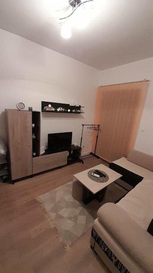 Apartman Tia Vrnjačka Banja Buitenkant foto